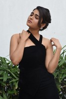 Shalini Pandey Latest Gallery